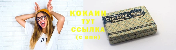 тгк Верея