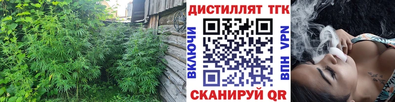 Дистиллят ТГК Wax  Купить где  Полярный 