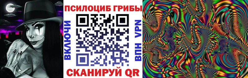 Купить где Полярный Псилоцибиновые грибы Cubensis